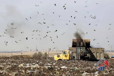 پشت پرده بوی نامطبوع جنوب تهران فاش شد