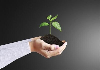  اهمیت صداقت و راستگویی در روایات