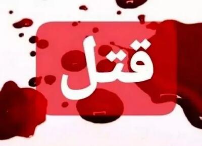 قتل هولناک یک زن توسط پسر و همسر سابق / جزئیات کامل حادثه و بازجویی‌ها / واکنش‌ها و تحلیل کارشناسان