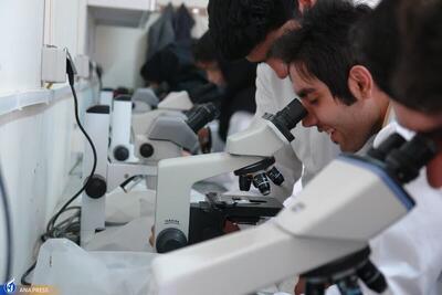 رئیس فرهنگستان علوم: ریزش نخبگان زنگ خطر جدی است / از هر ۴۵۰ مقاله تنها یک اختراع ثبت می‌شود؛ در حالی که ژاپنی‌ها از هر دو مقاله یک و ترکیه از هر ۱۰۰ مقاله یک ثبت اختراع ارئه می‌دهند