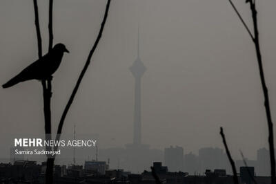 وضعیت تعطیلی تهران برای فردا اعلام شد