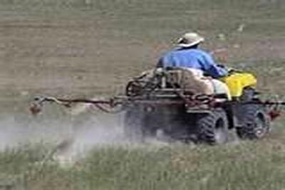 توزیع هشت هزار تن کود شیمیایی توسط شبکه تعاون روستایی