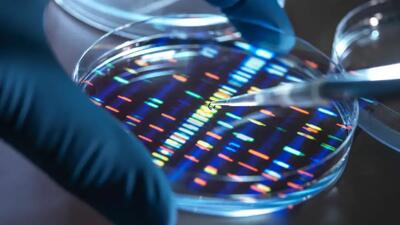  هوش مصنوعی راز ۳۶۰ هزار گره DNA را فاش کرد