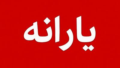 دولت در سال ۱۴۰۵ دست به جیب شد؛ سه یارانه جدید برای مردم!