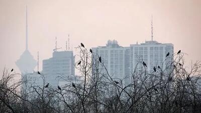 جلسه کارگروه آلودگی هوای تهران تا دقایقی دیگر تشکیل می‌شود