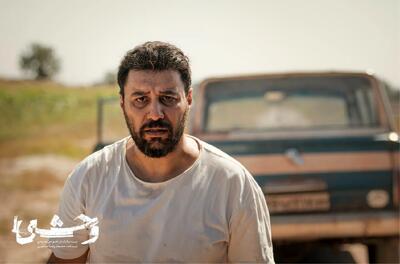 سریال وحشی چند فصل دارد؟/ تعداد قسمت های فصل دوم سریال وحشی