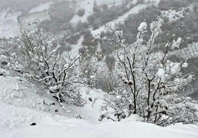 چشم تهرانی‌ها به برف روشن می‌شود/ پیش بینی ۶۵ سانتی‌متر برف طی ۵ روز آینده