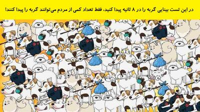 در این تست بینایی گربه را در 8 ثانیه پیدا کنید، فقط تعداد کمی از مردم می‌توانند گربه را پیدا کنند!