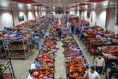 شهرداری وارد عمل شد؛ هیچ شهروندی نباید شب‌های سرد را بی‌پناه بماند