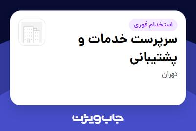 استخدام سرپرست خدمات و پشتیبانی - آقا در سازمانی فعال در حوزه تجارت الکترونیک
