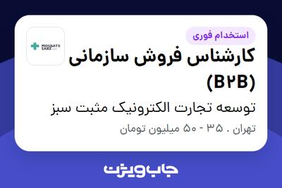  استخدام کارشناس فروش سازمانی (B2B) در توسعه تجارت الکترونیک مثبت سبز