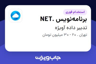 استخدام برنامه‌نویس .NET در تدبیر داده آویژه