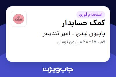 استخدام کمک حسابدار در پاپیون لیدی _ امیر تندیس