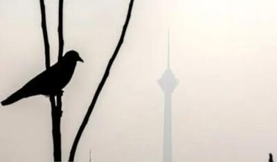 مدارس ابتدایی تهران شنبه غیر حضوری شد؛ زوج و فرد از درب منزل