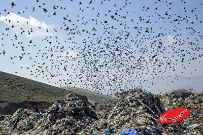 ببینید | پشت پرده بوی نامطبوع جنوب تهران چیست؟ - کلبه سرگرمی