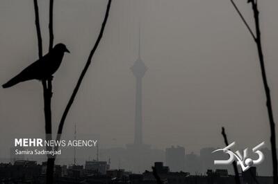 مدارس ابتدایی تهران شنبه غیر حضوری شد؛ زوج و فرد از درب منزل - مجله اینترنتی کولاک