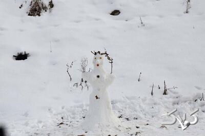 به جای قطب به این منطقه سفر کنید | تجربه منفی ۳۰ درجه در ایران - مجله اینترنتی کولاک