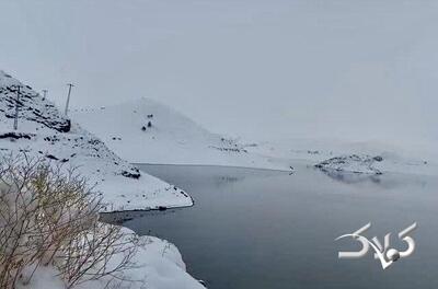 تصاویر امروز سد مهم کشور پس از بارش‌ها؛ صدای شکرگزاری فیلمبردار را بشنوید - مجله اینترنتی کولاک