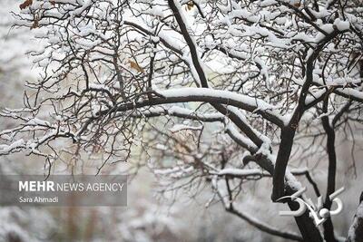 هواشناسی ایران؛ بارش برف و کولاک در راه است - مجله اینترنتی کولاک