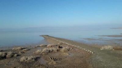 ببینید | بازگشت حیات به تالاب نهبندان پس از حدود ۱۸ ماه خشکی! - مردم سالاری آنلاین