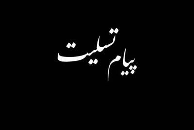  مدیرکل تبلیغات اسلامی فارس درگذشت امام جمعه موقت مرودشت را تسلیت گفت