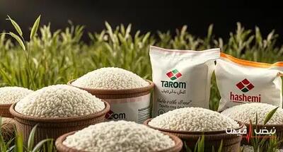 کاهش قیمت برنج در بازار ایران؟ قیمت امروز ۵ دی ۱۴۰۴، دلیل نوسان‌ها و پیش‌بینی کارشناسان