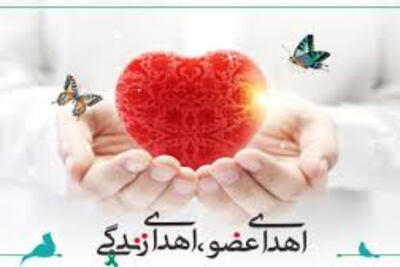 پایان یک زندگی، آغاز سه زندگی