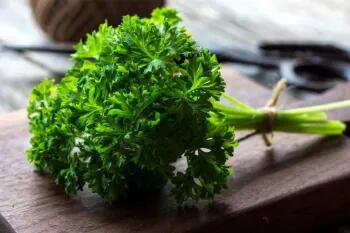  تحقیق درباره خواص و مضرات سبزی جعفری