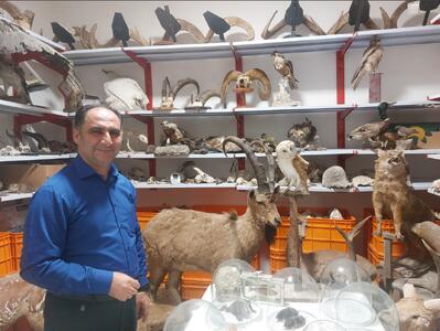 اینجا بایگانی مهم‌تر از ویترین است