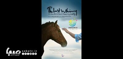 راهیابی «آخرین شیهه…» به جشنوارهٔ شنژن چین/ نامزدی جایزه بهترین فیلم‌برداری | مجموعه رسانه ای صبا