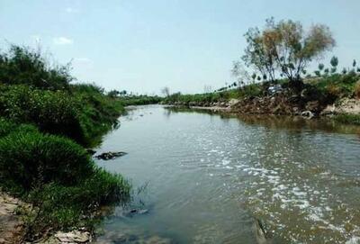 تازه‌ترین روایت از «کشف رود» | مرگ تدریجی رود اساطیری