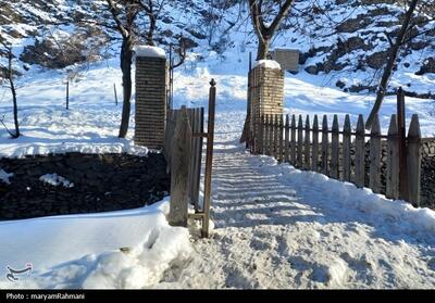 هشدار نارنجی هواشناسی در کردستان؛ برف، کولاک و افت دما در راه است - تسنیم