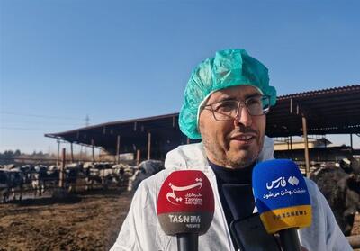 مهار تب برفکی با تزریق 8 میلیون دز واکسن/ فقط 930 رأس دام تلف شد - تسنیم