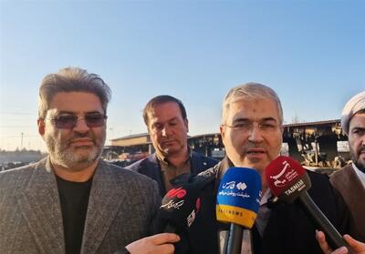 یک میلیون تن نهاده دامی در یک ماه گذشته ترخیص شد - تسنیم