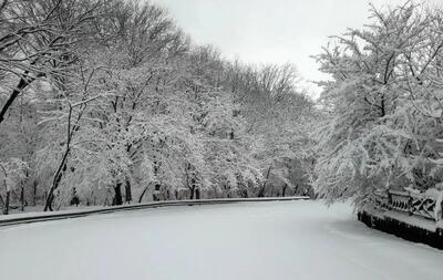 این ۲۰ استان فردا برفی می‌شوند