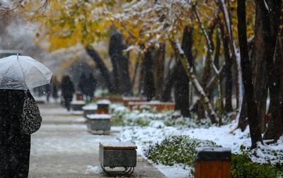 هواشناسی ۱۴۰۴/۱۰/۰۶؛ برف و باران از امروز کشور را فرا می‌گیرد
