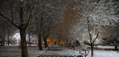 سرمای کم‌سابقه در ۲۴ استان کشور/ بارش برف و باران در ۲۷ استان