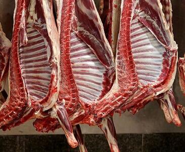  هشدار نسبت به بازار گوشت قرمز سال آینده