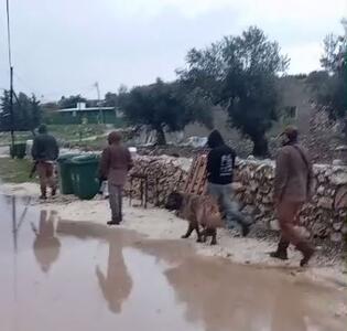  عربده کشی شهرک‌نشینان صهیونیست میان منازل فلسطینیان