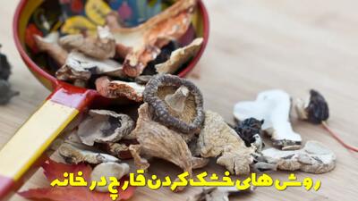  روش های خشک کردن قارچ در خانه + نحوه نگهداری و موارد مصرف قارچ خشک شده