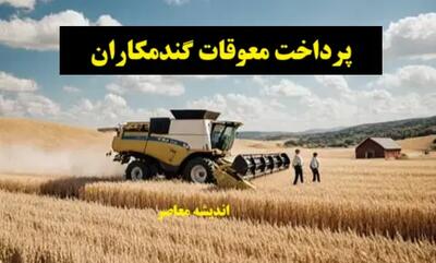  بازار گندم در آستانه تغییر؛ قیمت گندم افزایش می‌یابد یا نه؟ هشدار و امید برای گندمکاران | اندیشه قرن