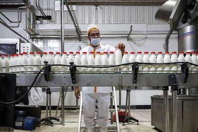 شوک در بازار لبنیات! / نرخ شیرخام دوباره تعیین شد اما قیمت رسمی اعلام نشده / بلاتکلیفی ادامه دارد