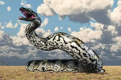  کشف بزرگ‌ترین مار تاریخ / استخوان‌های ۴۷ میلیون ساله ابعاد این هیولا را فاش کرد!