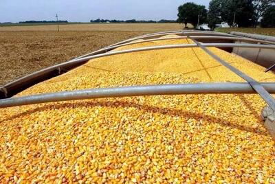 کدام کالا رکورددار دریافت ارز ۲۸۵۰۰ تومانی شد؟