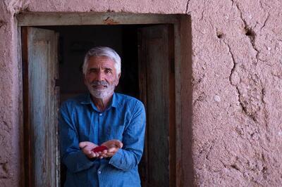 «رویای آب» مستندی روایت گر تلاش یک استارتاپ در مبارزه با کم آبی/ چرا کاشت زعفران چاره کار است؟