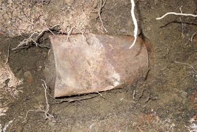  باور نمی‌کنید این گنج بزرگ سکه‌های طلا از کجا پیدا شد!