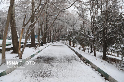 هشدار برای سرمای کم‌سابقه در ۲۶ استان / بارش برف و باران در ۲۷ استان