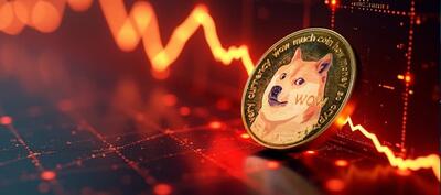 سقوط ۵۰ درصدی دوج‌کوین؛ آینده این رمزارز چه می شود؟