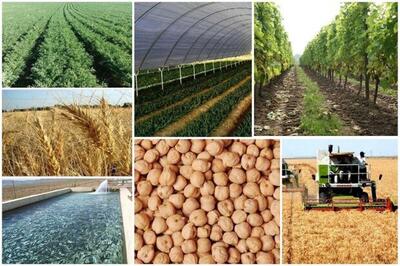  معرفی بیش از ۵۰ بسته سرمایه‌گذاری در بخش کشاورزی