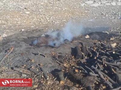  کوره‌های زغال تهدیدی جدی برای جنگل‌های زاگرس/ سودجویان در امان نیستند